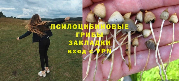 PSILOCYBIN Верея